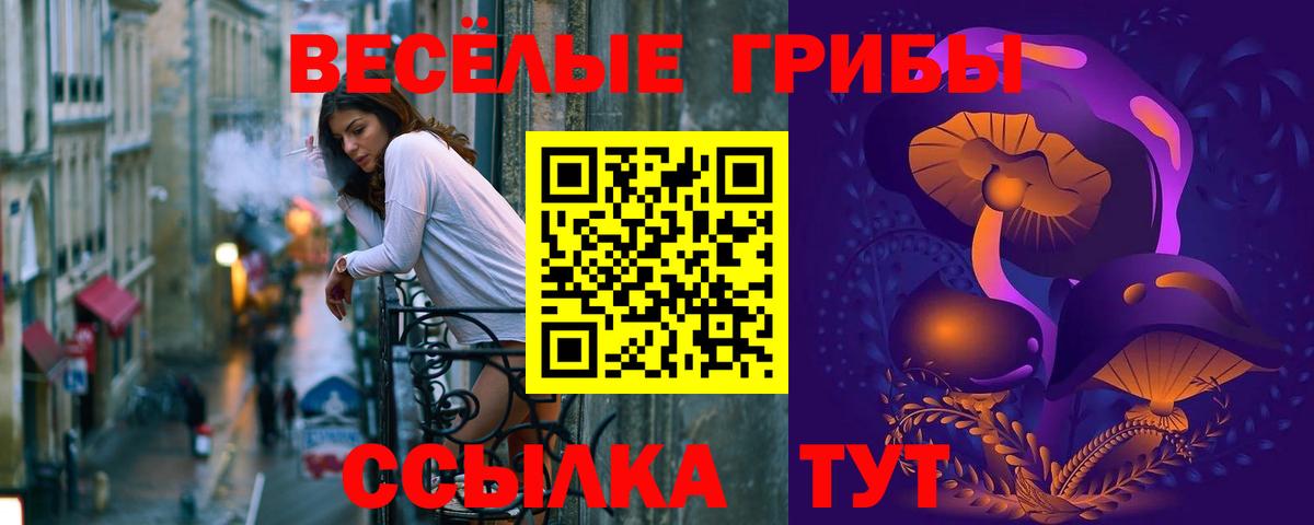 Златоуст  Псилоцибиновые грибы ЛСД  Вход с VPN 
